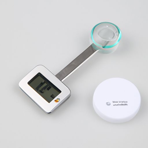 0.1g Kitchen Food Spoon Scale Hot-selling measurement for pet Household Electronics Digital 300g 500g