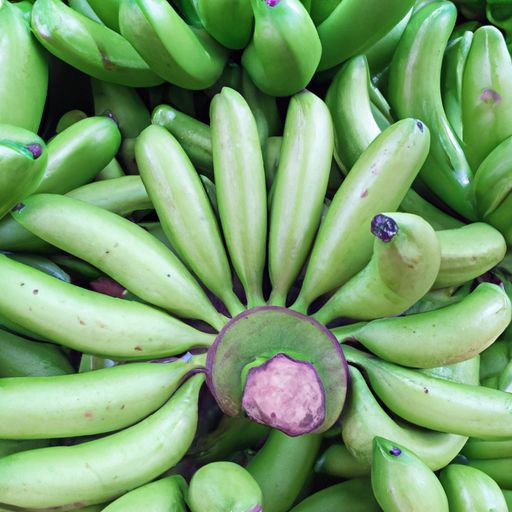 绿色卡文迪什香蕉新鲜绿色绿色香蕉卡文迪什香蕉高品质最优惠价格新鲜