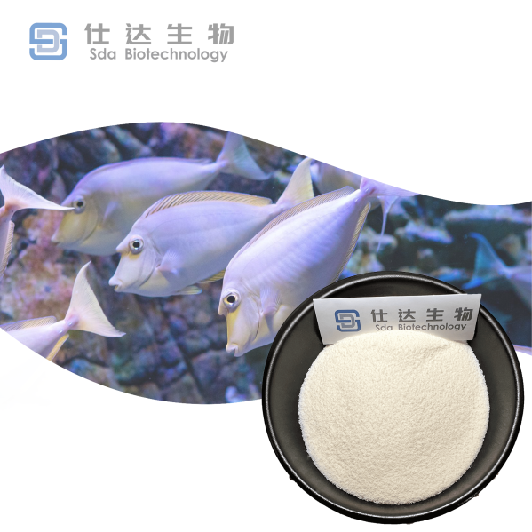 Type III Collagen Peptide Collagen Supplement Applications Cheapest Price