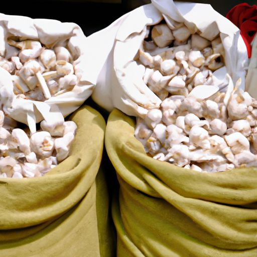 最优惠价格直供10公斤网状出口泰国姜袋新鲜大蒜散装新鲜库存可供出口批发供应商最高品质