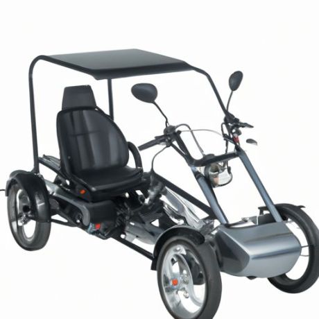 48-V-Motor 3-Rad-Dreirad mit großer Leistung, elektrisch für erwachsene Passagiere und Frachtwagen, Großhandel mit Elektro-Dreirad 550 W