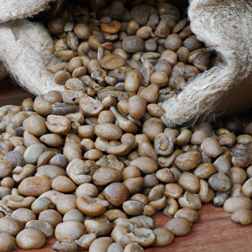 가족농업에서 생산된 커피 고품질의 베트남산 베트남산 커피콩을 30kg 또는 60kg 봉지에 담아 아라비카 커피원두 전문