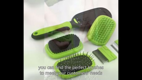 cat hair remover brush Best Chinese Supplier