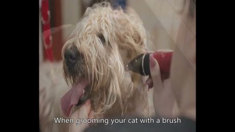 Medium size Dual Grooming Brush for Dogs &Cats Personalization